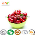 High quality Acerola Cherry Extract